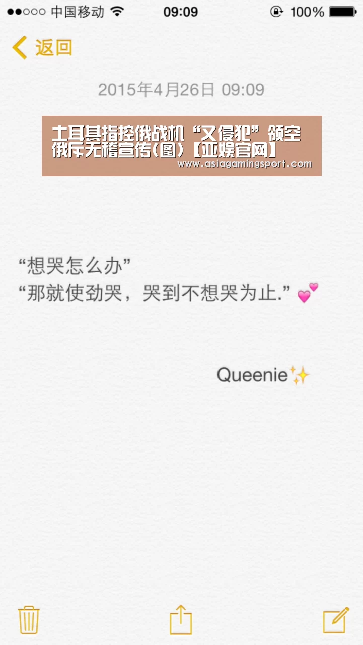 土耳其指控俄战机“又侵犯”领空 俄斥无稽宣传(图)【亚娱官网】(图1) ag亚娱